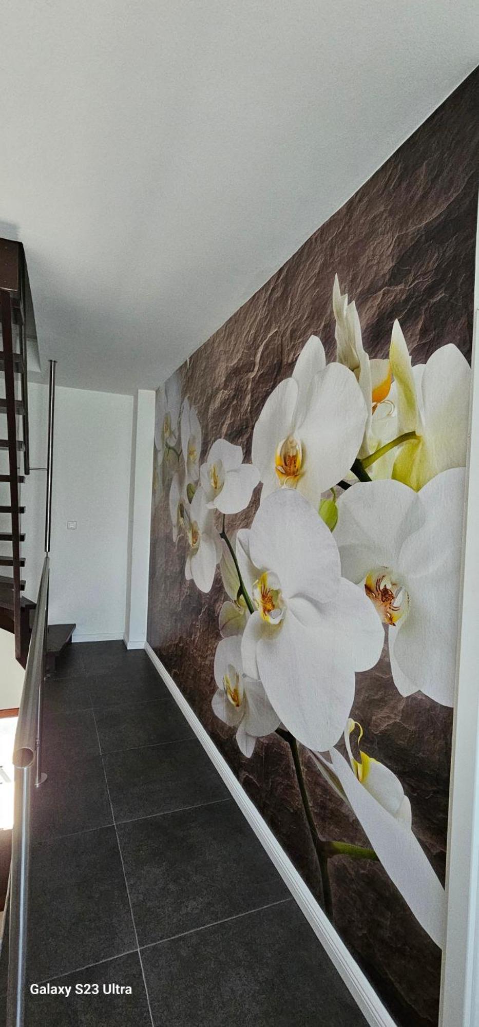 Gaestehaus Orchidee Hoya Esterno foto